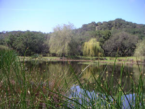 PICT0159.JPG
