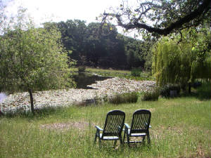 chairspond.JPG